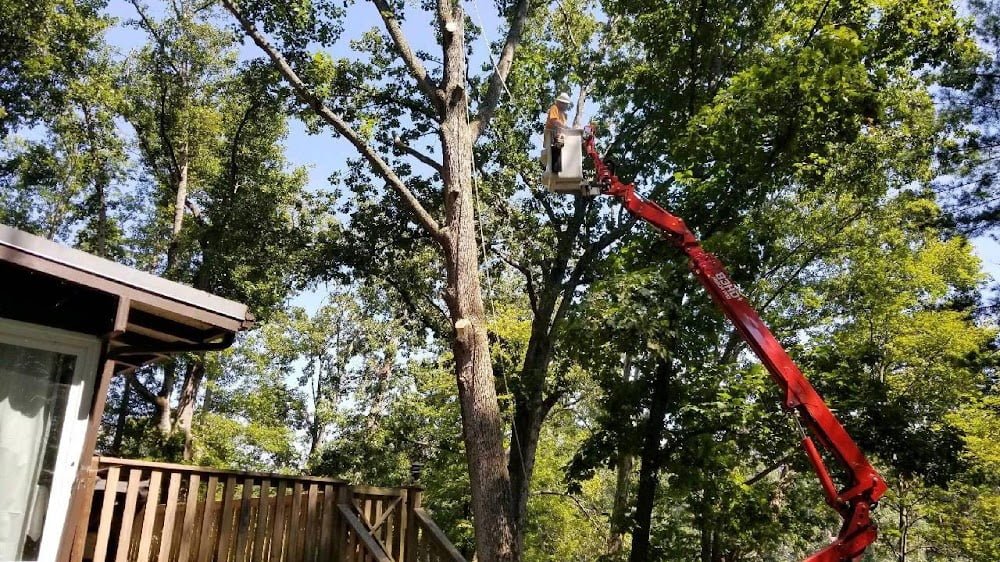 Bobby’s Tree Service, Inc